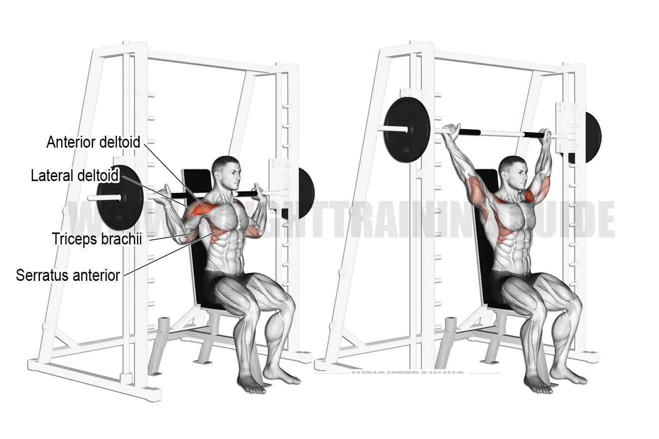 پرس سرشانه اسمیت از پشت اموزش حرکت بدنسازی با مربی انلاین