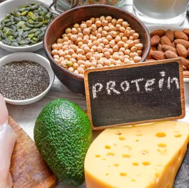 پروتئین های غذایی زود جذب قبل و بعد از تمرین بدنسازی + راهنمای تغذیه