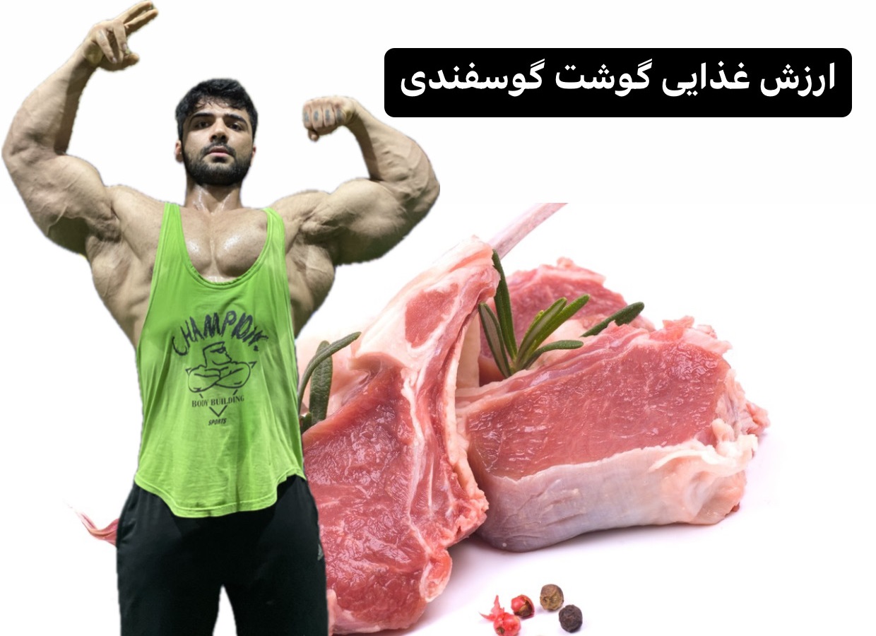 گوشت گوسفندی در بدنسازی! بهترین منبع پروتئین عضله سازی